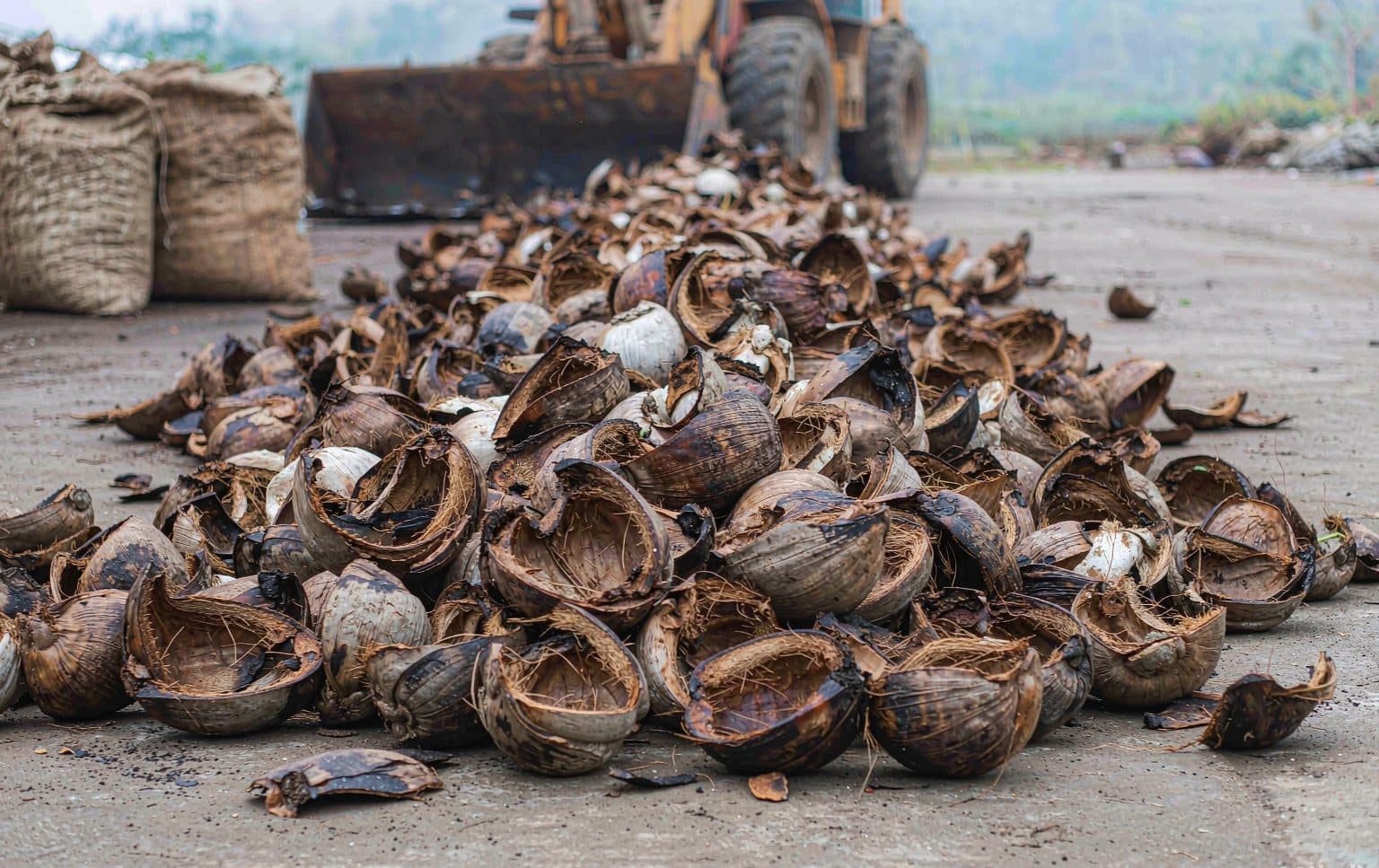Coconut shell feedstock