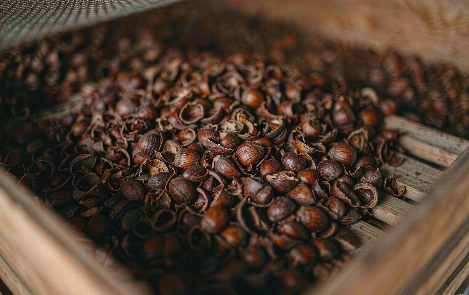 Hazelnut shell feedstock